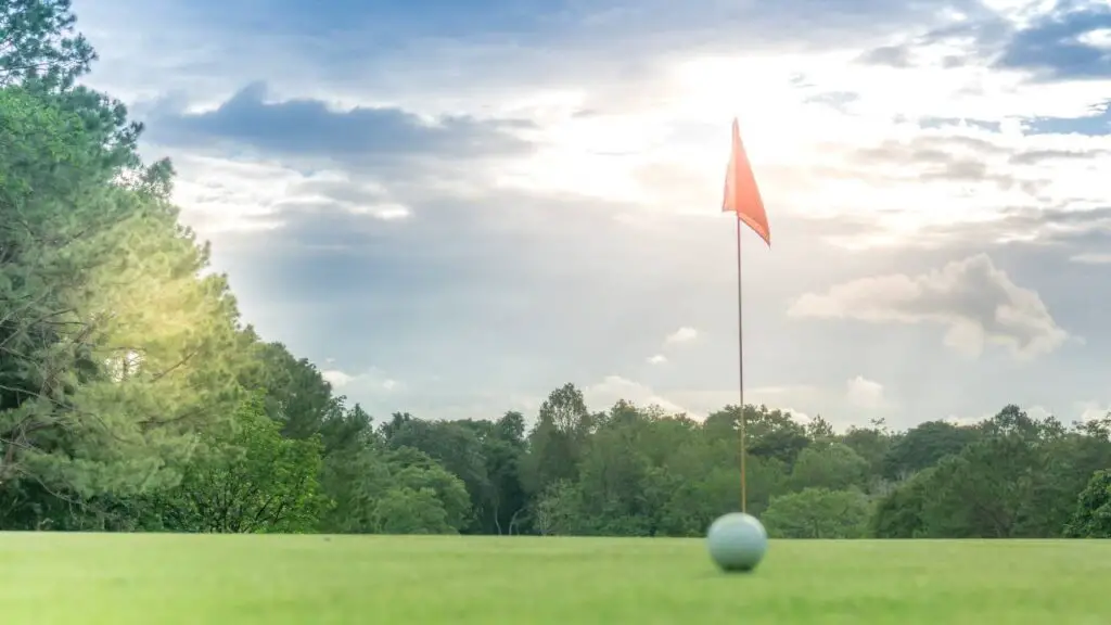 Golf ball on green and hole flag