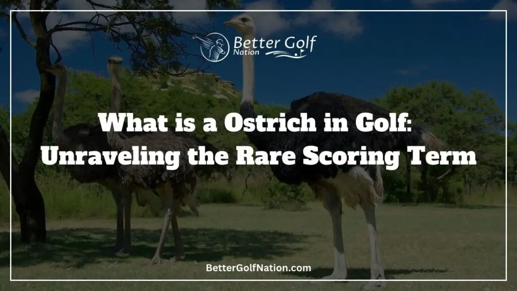 Picture of a Ostrich signifying a Ostrich score in golf