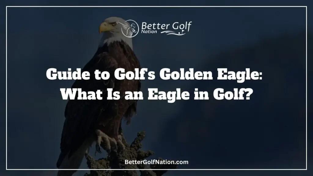 Eagle sitting on tree symbolizing Eagle in golf