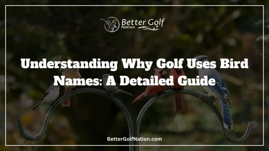 Why Golf Uses Bird Names Featured Image