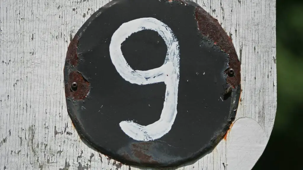 Wooden log with number 9 on it