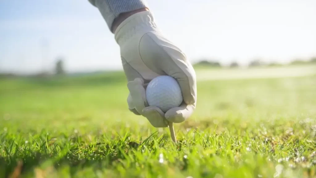 Golfer wearing a regular golf glove removing tee and golf ball off golf green