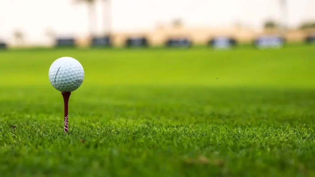 A golf ball sitting on a golf tee on a golf course green