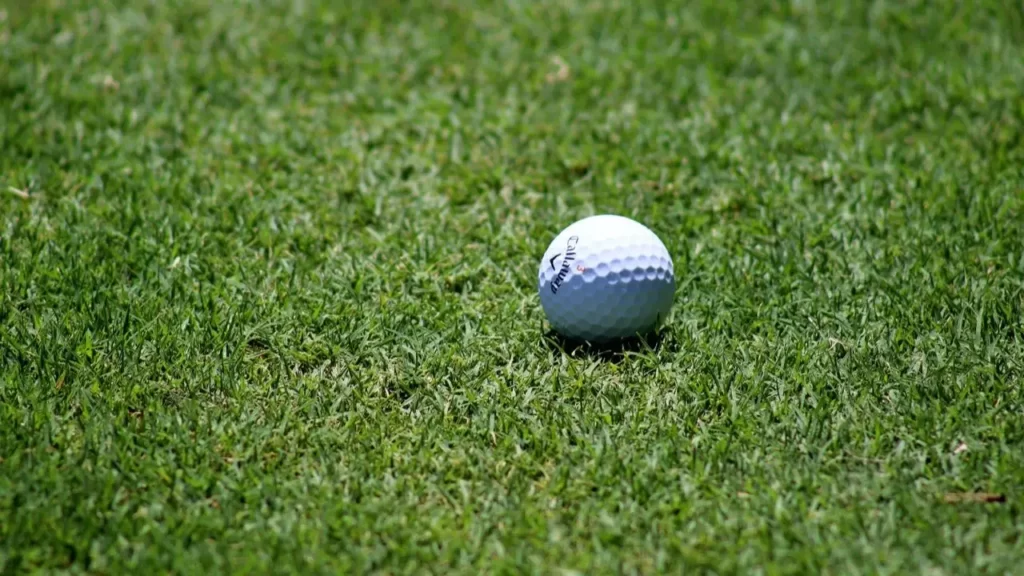 Golf ball on golf green